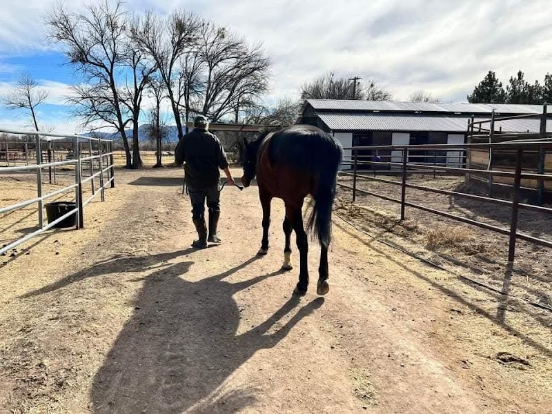 Nashwa Farms Equestrian & Event Center photo 2