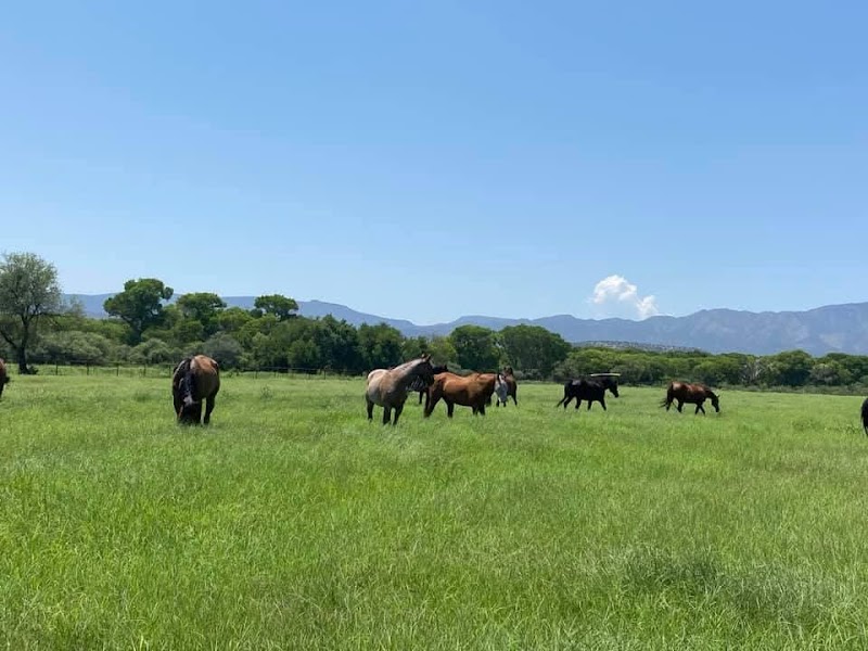 Photo of Nashwa Farms Equestrian & Event Center