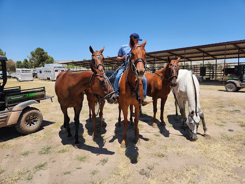 Nashwa Farms Equestrian & Event Center photo 3