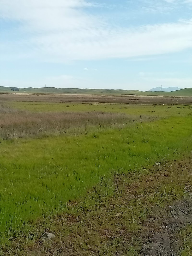 Photo of Hill Slough Wildlife Area