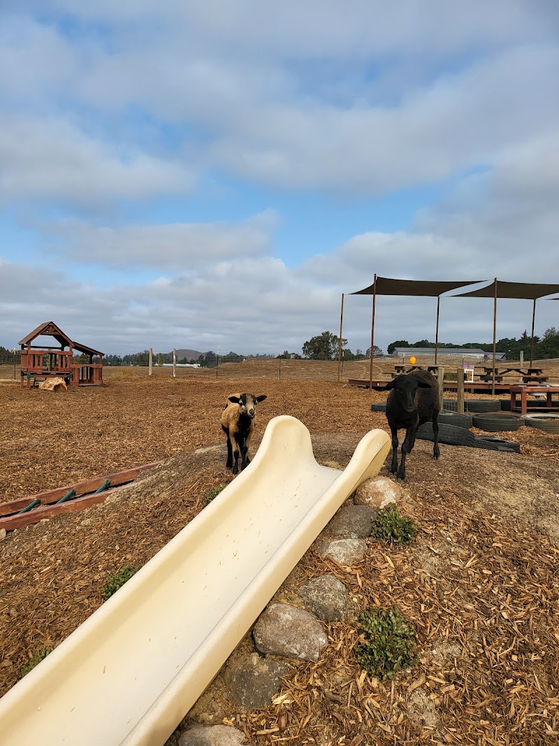 Petaluma Village East photo 3