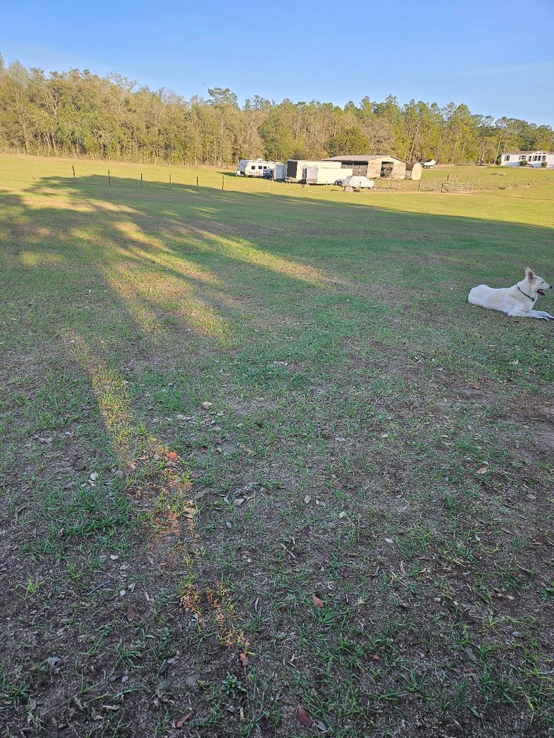 High Corner RV Storage photo 3