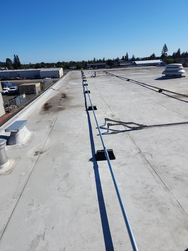 MSC Solutions photo 5