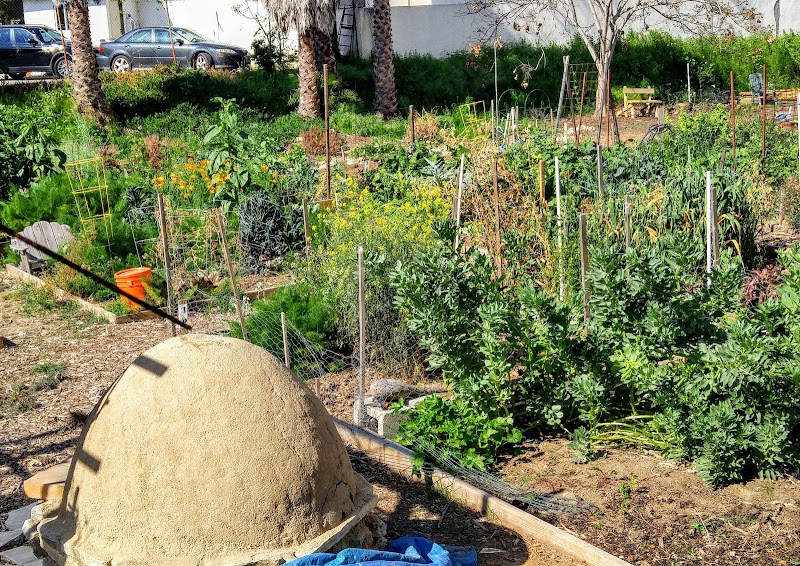 Photo of Zaferia Junction Community Garden