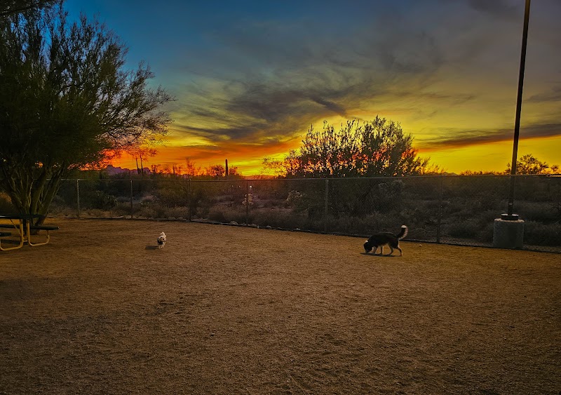 Tangerine Sky Community - Dog Park photo 3