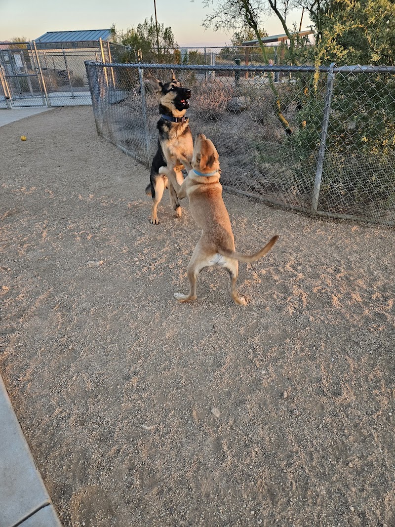 Tangerine Sky Community - Dog Park photo 2