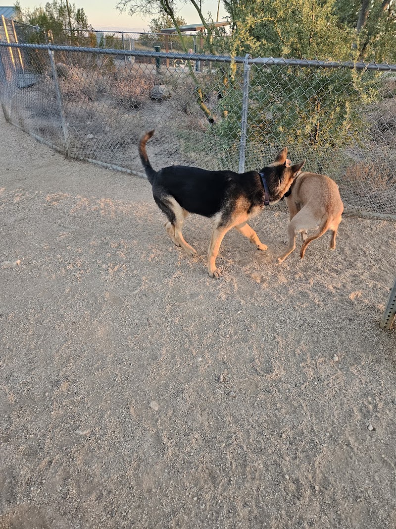 Tangerine Sky Community - Dog Park photo 5