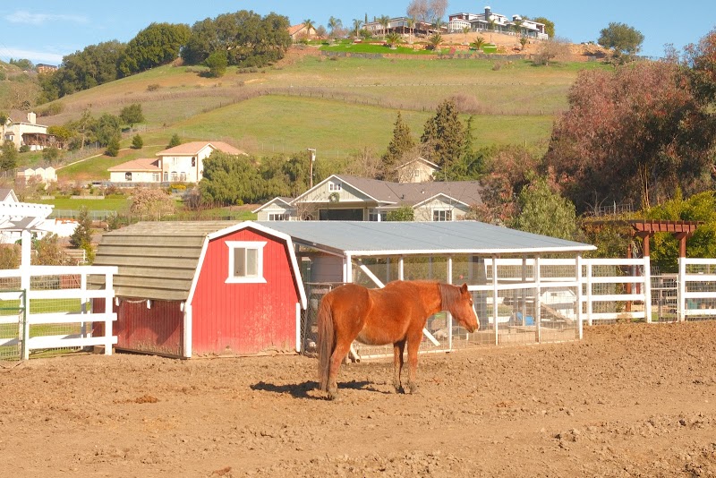 Lavender creek farm photo 5