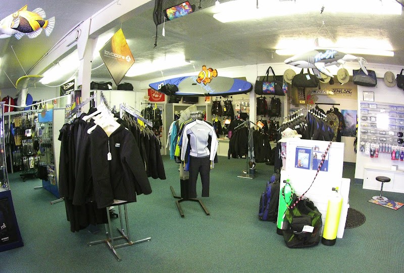 Harbor Dive photo 3