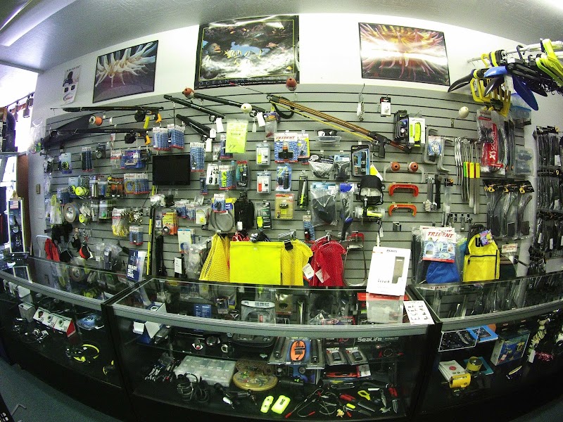 Photo of Harbor Dive