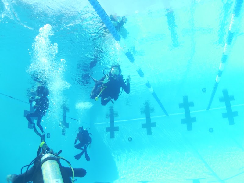 Harbor Dive photo 5