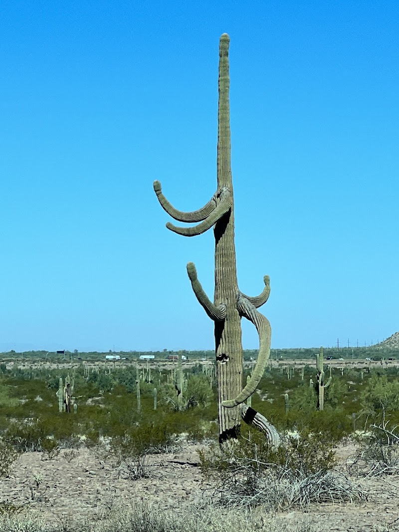 Photo of Roadrunner Group Area