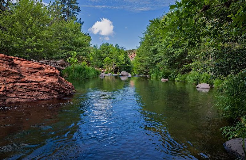 Briar Patch Inn photo 4