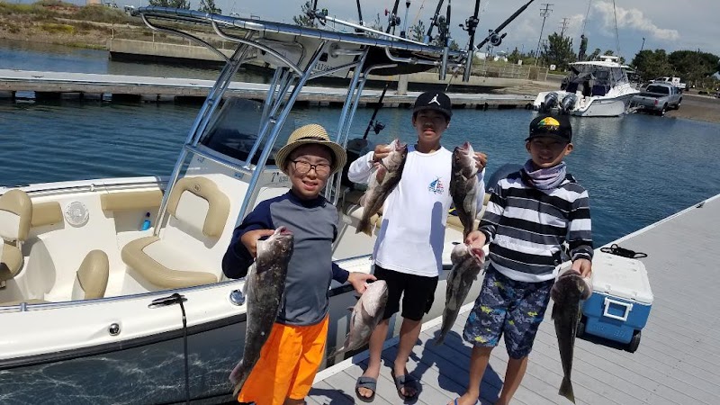 Nemocharters photo 5