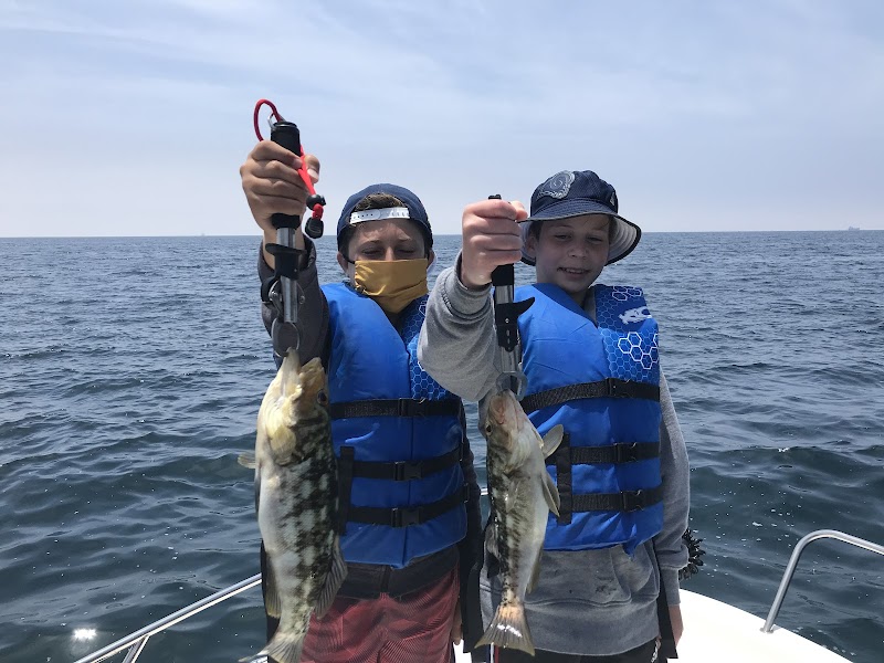 Photo of Nemocharters