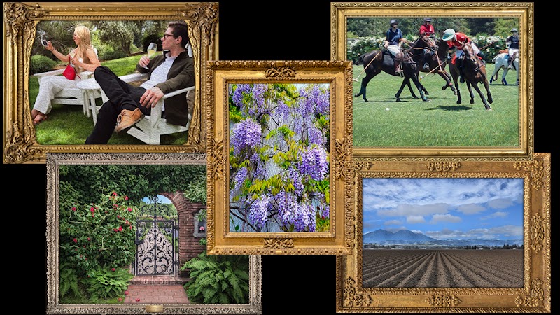 Photo of Gallery Style Art