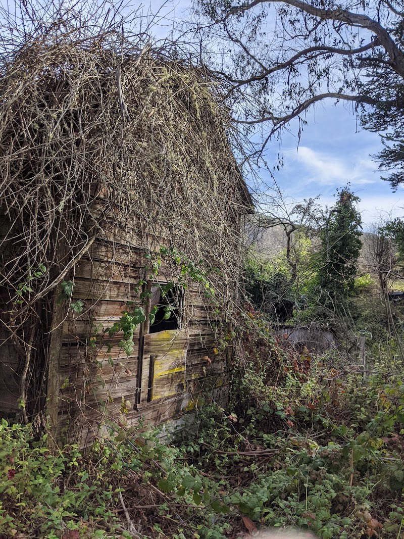 Burleigh H. Murray Ranch State Park photo 3