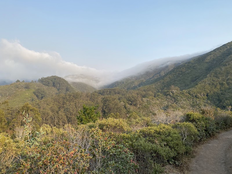 Photo of Waterfall Viewing Point