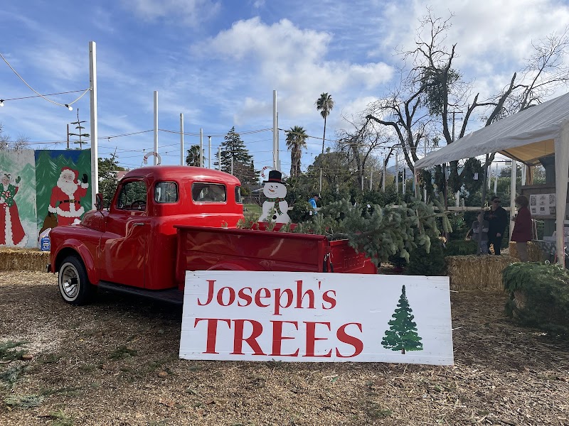 Photo of Joseph’s Trees