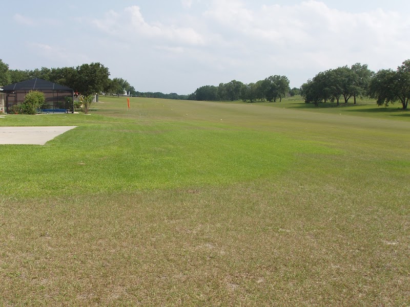 Love Field-97FL photo 5