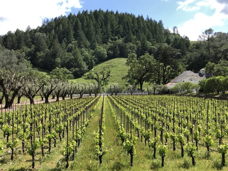 Spring Mountain Vineyard photo 3
