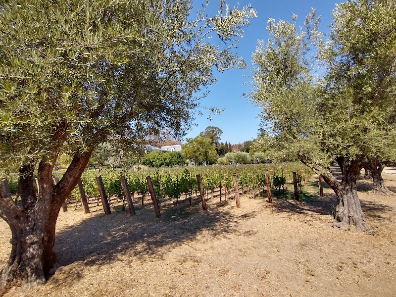 Spring Mountain Vineyard photo 4