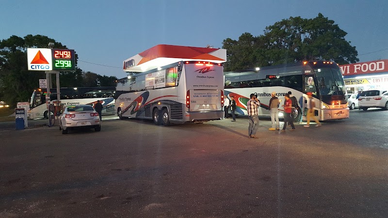 Omnibus Express photo 3