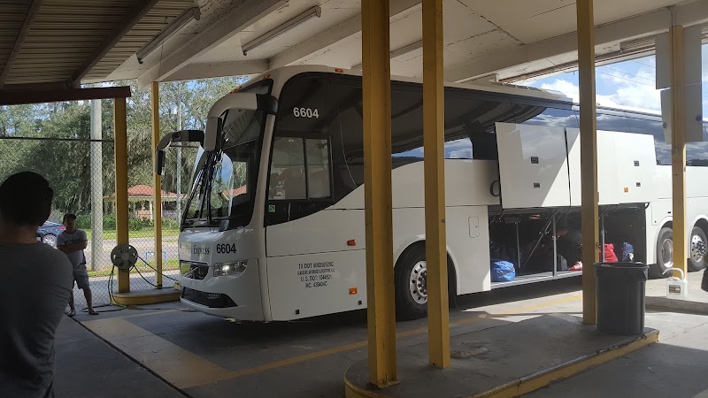 Omnibus Express photo 5
