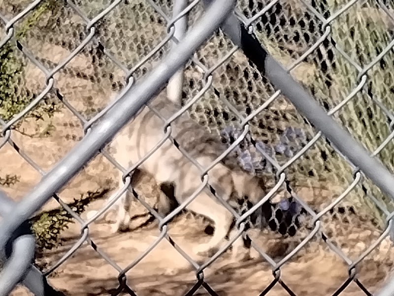 Southwest Wildlife Conservation Center photo 5