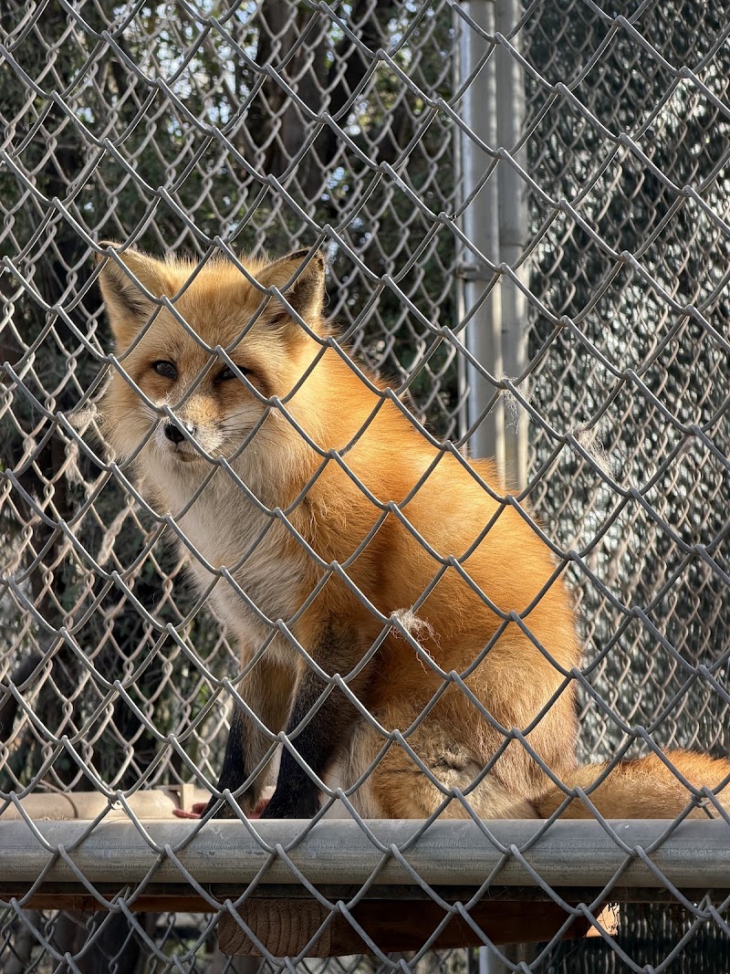Southwest Wildlife Conservation Center photo 4