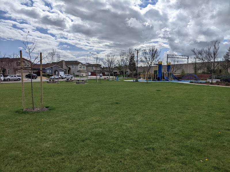 Briarwood Park photo 4