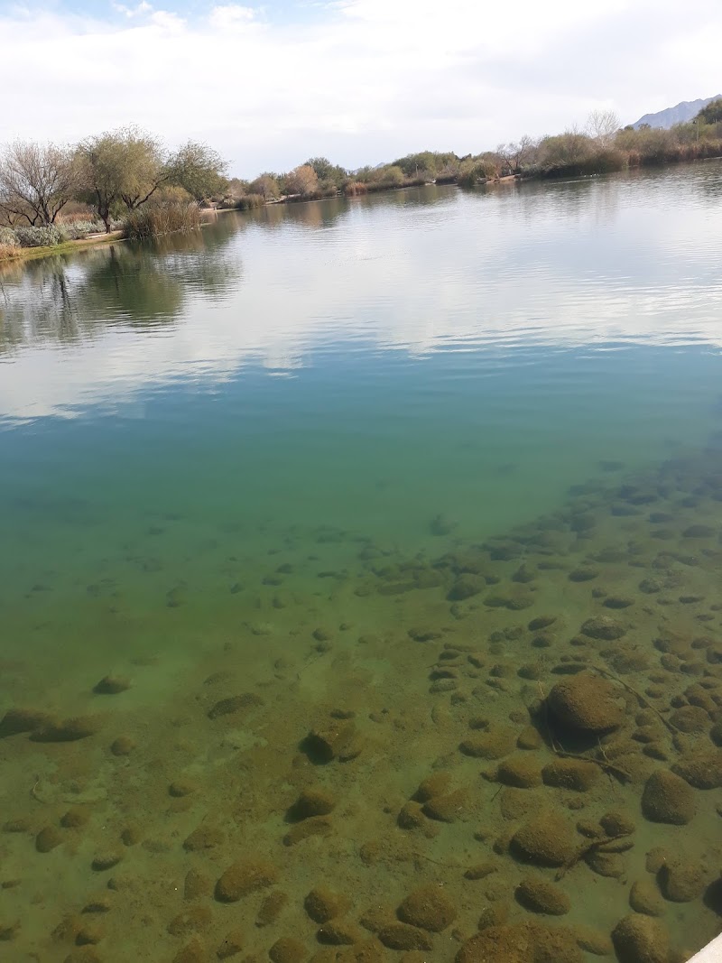 Veterans Oasis Lake photo 5
