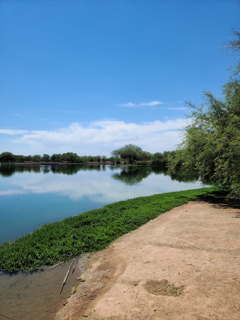 Veterans Oasis Lake photo 3