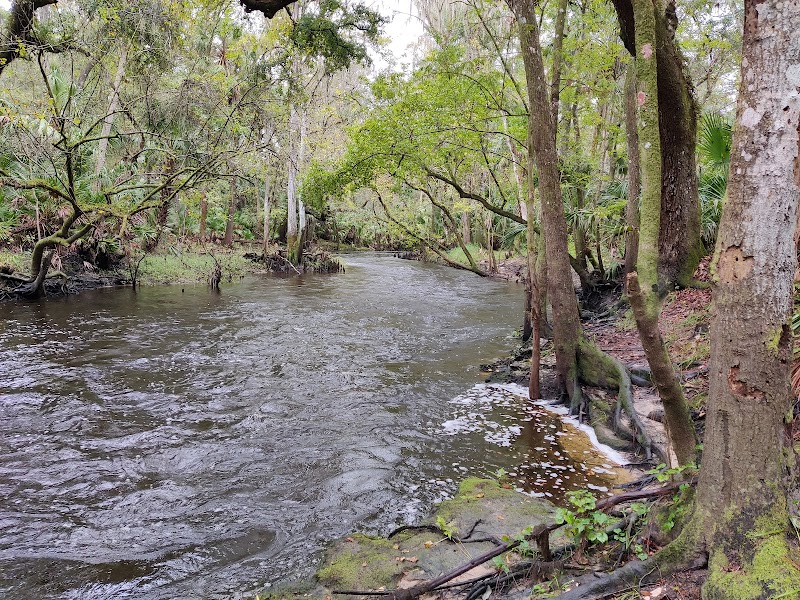 Photo of Blackwater Creek Nature Preserve