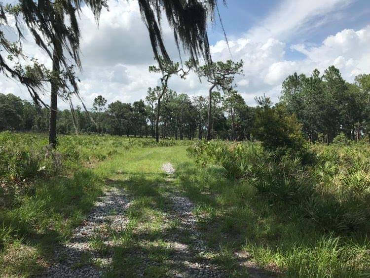 Blackwater Creek Nature Preserve photo 4