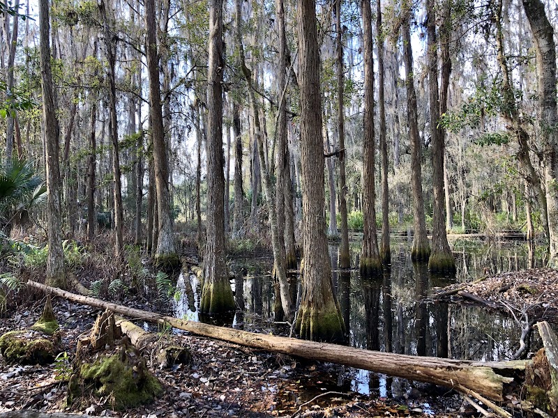 Blackwater Creek Nature Preserve photo 3