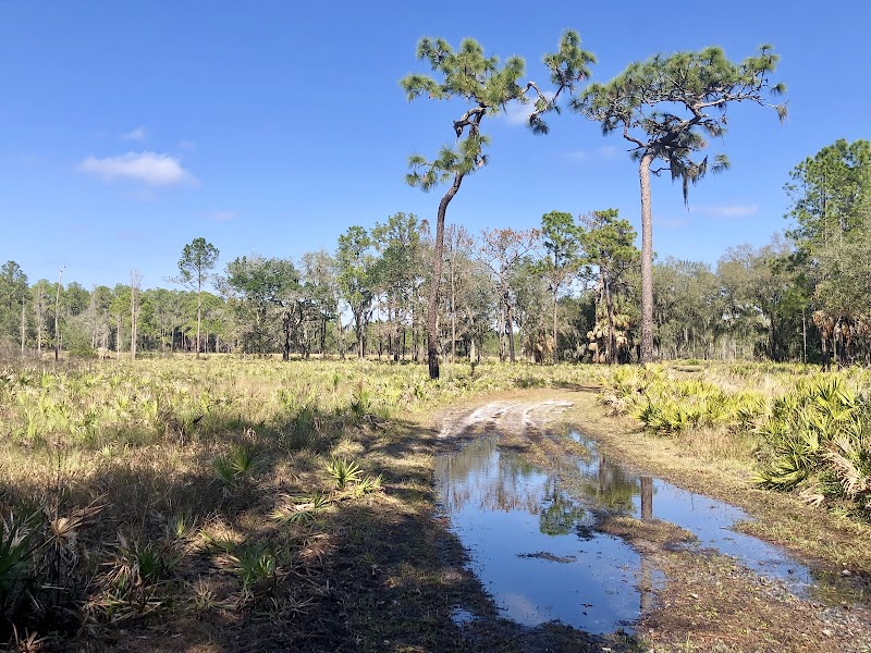 Blackwater Creek Nature Preserve photo 2
