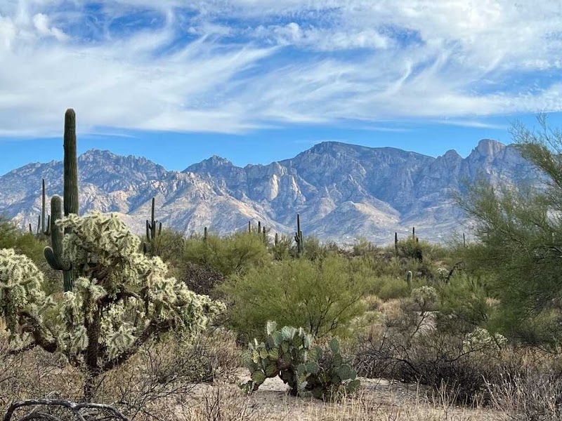 Photo of Legacy Law Arizona, PLLC