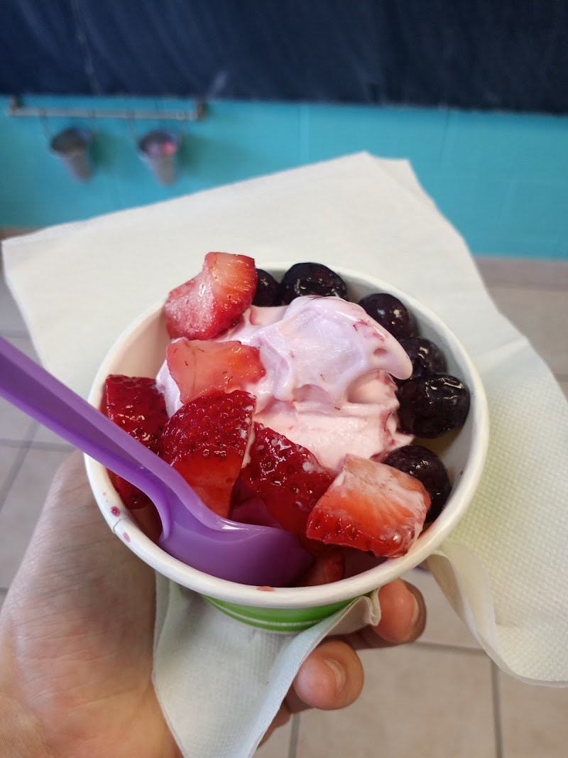 Yogurt Island photo 5