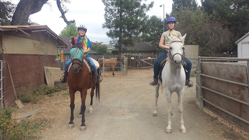Whispering Creek Equestrian Center photo 2