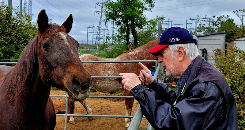 Photo of Whispering Creek Equestrian Center