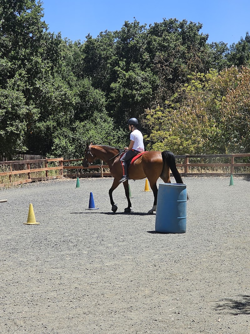 Whispering Creek Equestrian Center photo 5
