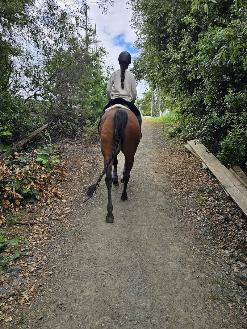 Whispering Creek Equestrian Center photo 4