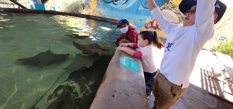 Stingray Touch photo 5
