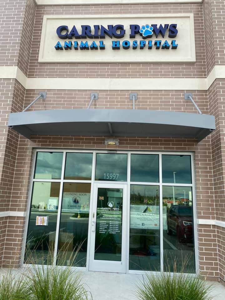 Photo of Caring Paws Animal Hospital