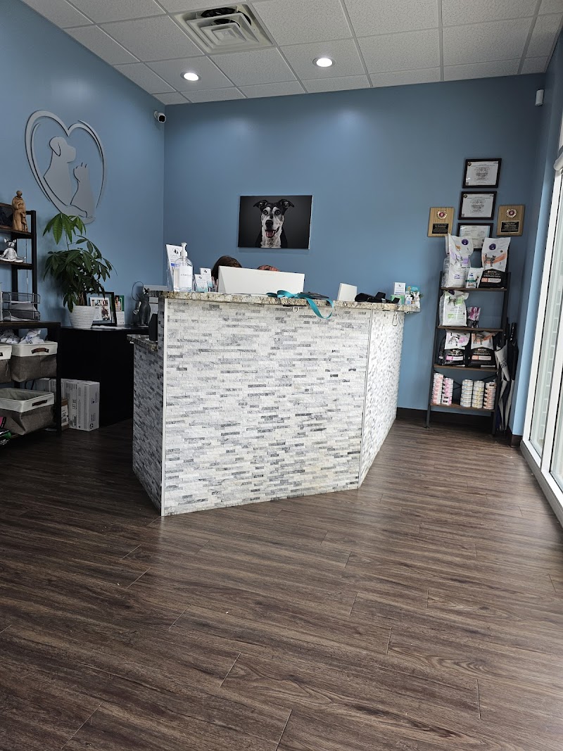 Caring Paws Animal Hospital photo 2