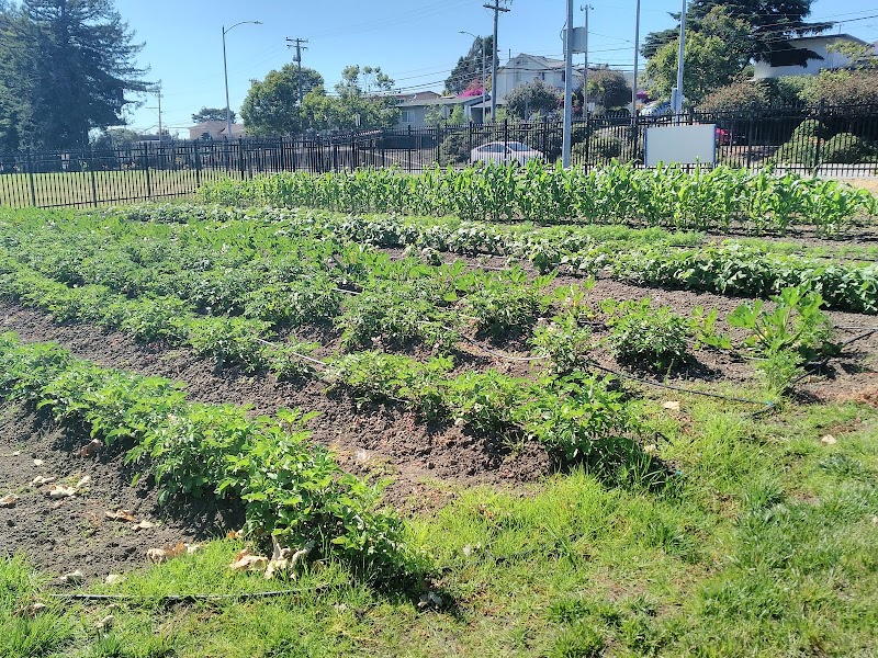 USDA photo 4