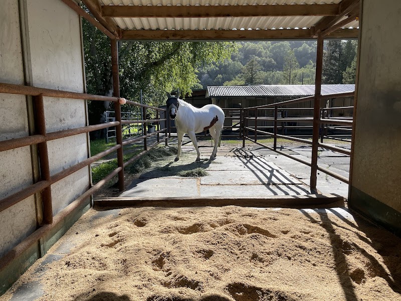 Rancho De Los Amigos photo 5