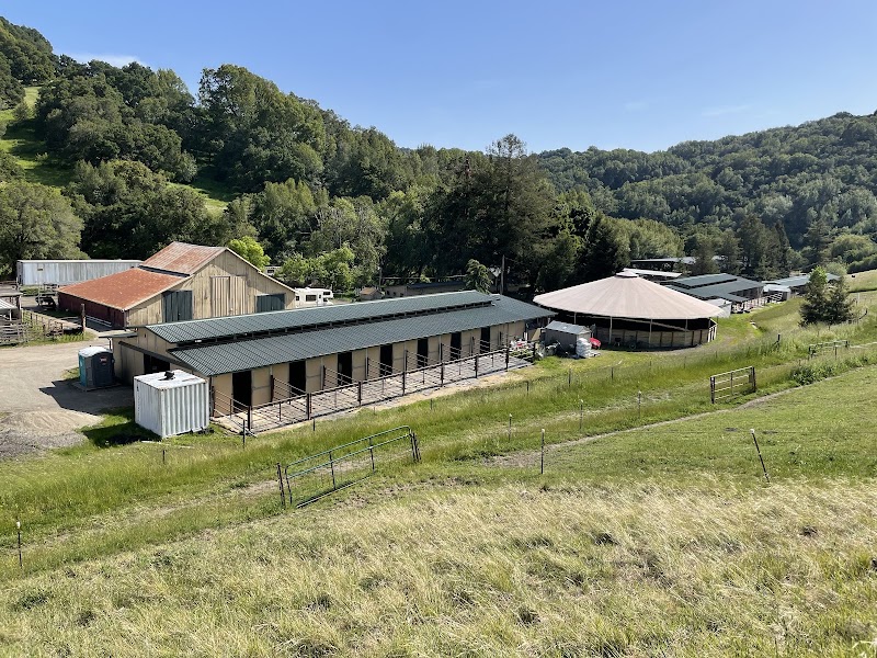 Photo of Rancho De Los Amigos