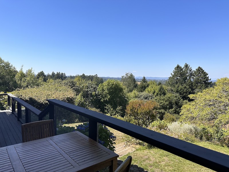 Halleck Vineyard Estate Winery & Wine Tasting Room photo 5